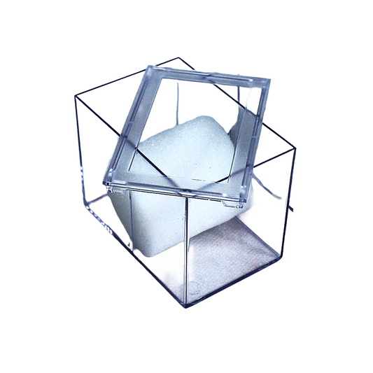 Transparent Watch Box