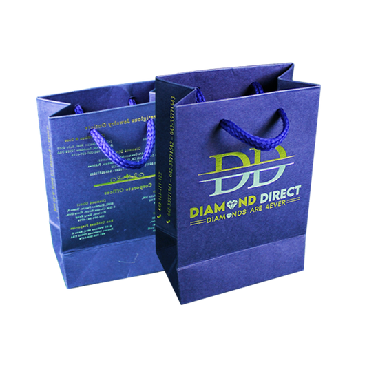 Customized Cardboard Shopping Bag (Design 10)