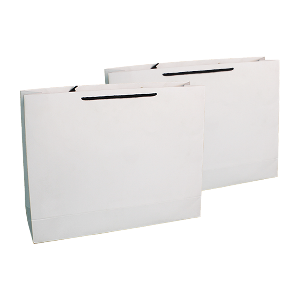 Customized Cardboard Shopping Bag (Design 13)