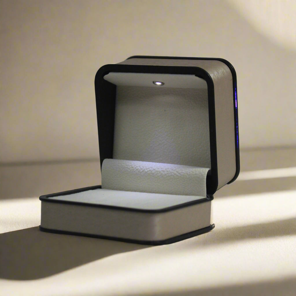 Luxury LED Jewelry Box with Spotlight