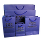 Customized Cardboard Shopping Bag (Design 10)