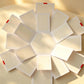 Top-down view of the hexagon explosion box's panels opened flat like petals