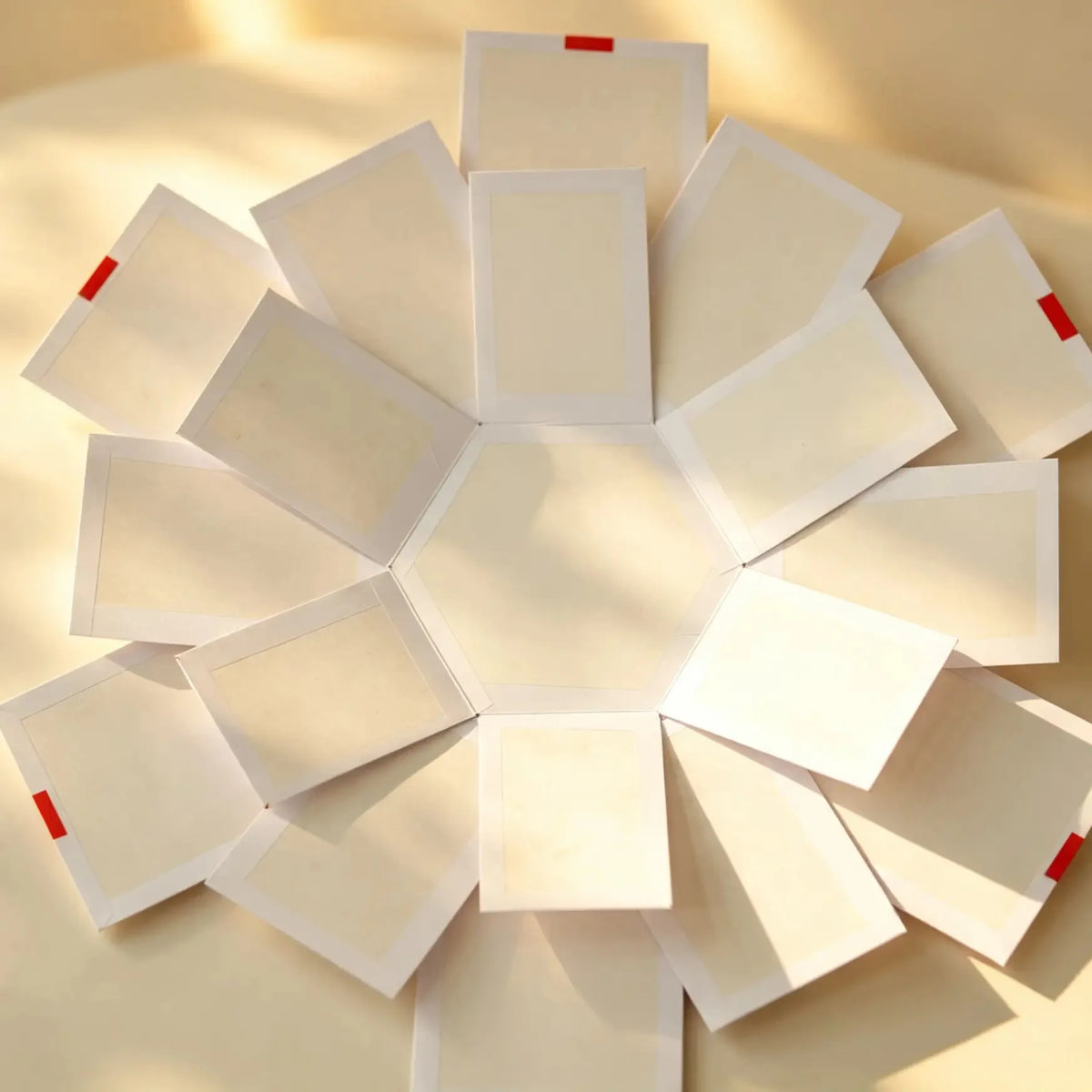 Top-down view of the hexagon explosion box's panels opened flat like petals