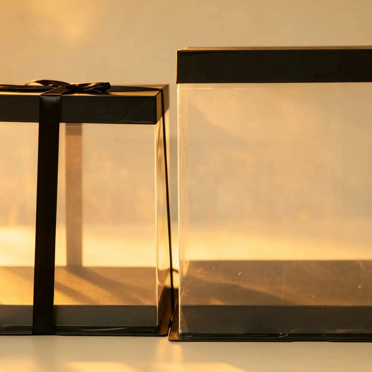 Clear PVC cake boxes with black trim and black ribbon bow, large and small size