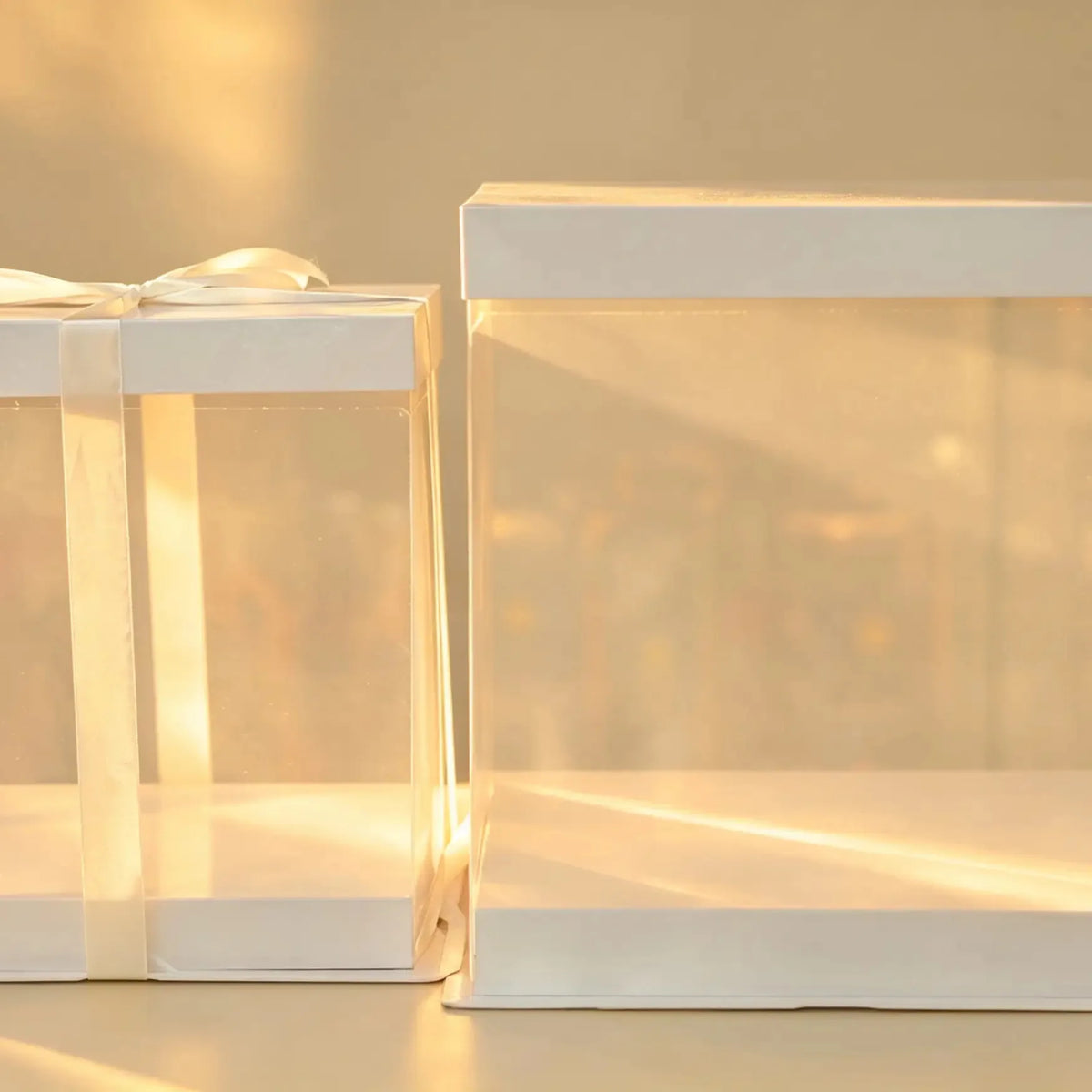 Clear PVC cake boxes with white trim and cream ribbon bow, large and small size