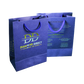 Customized Cardboard Shopping Bag (Design 10)