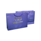 Customized Cardboard Shopping Bag (Design 10)