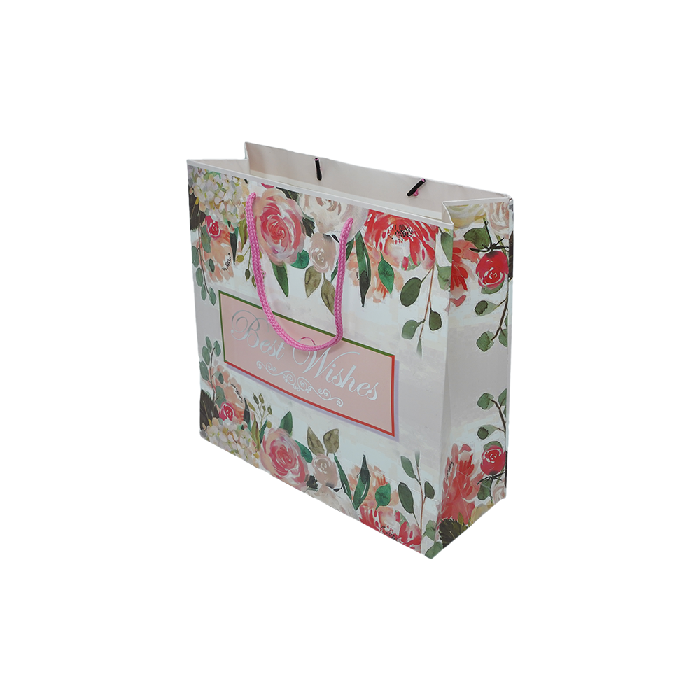 Different Size Customized Cardboard Shopping Bag