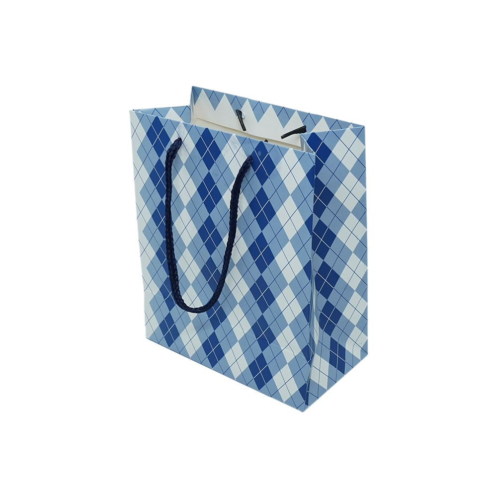 Customized Cardboard Shopping Bag (Design 6)