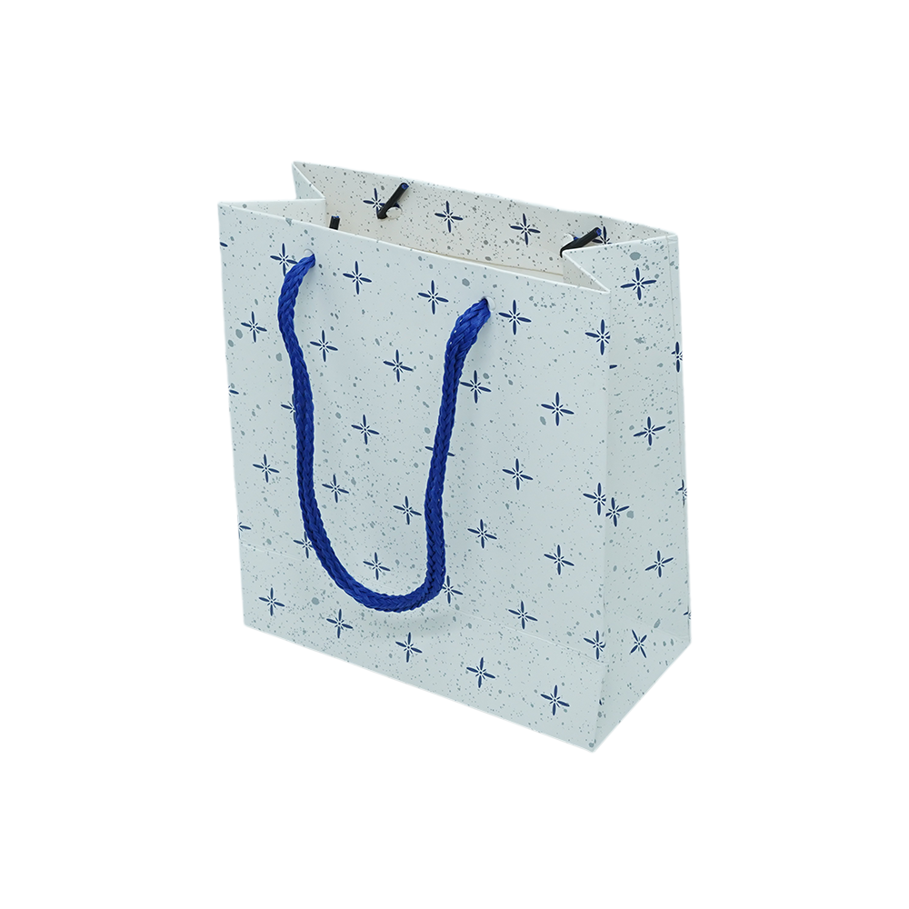 Customized Cardboard Shopping Bag (Design 7)