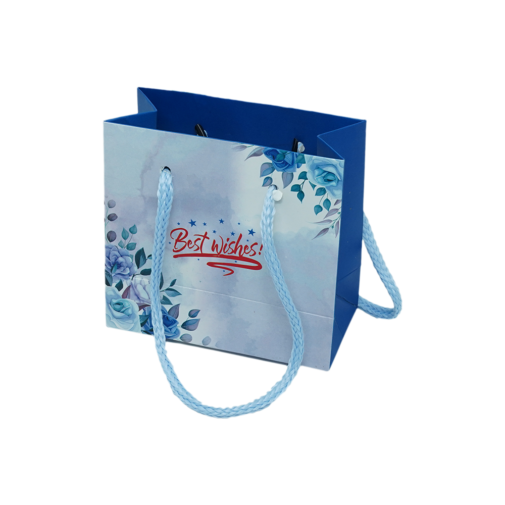 Customized Cardboard Shopping Bag (Design 8)