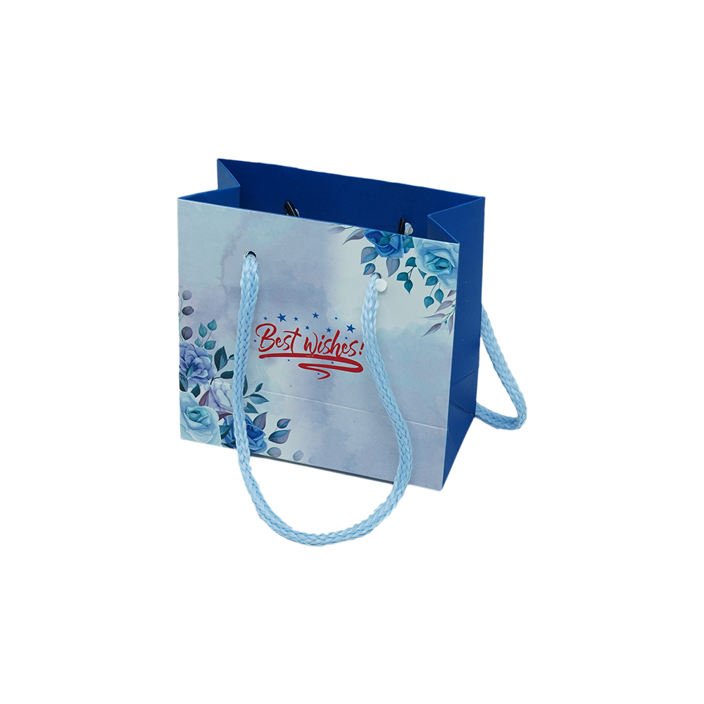 Customized Cardboard Shopping Bag (Design 8)