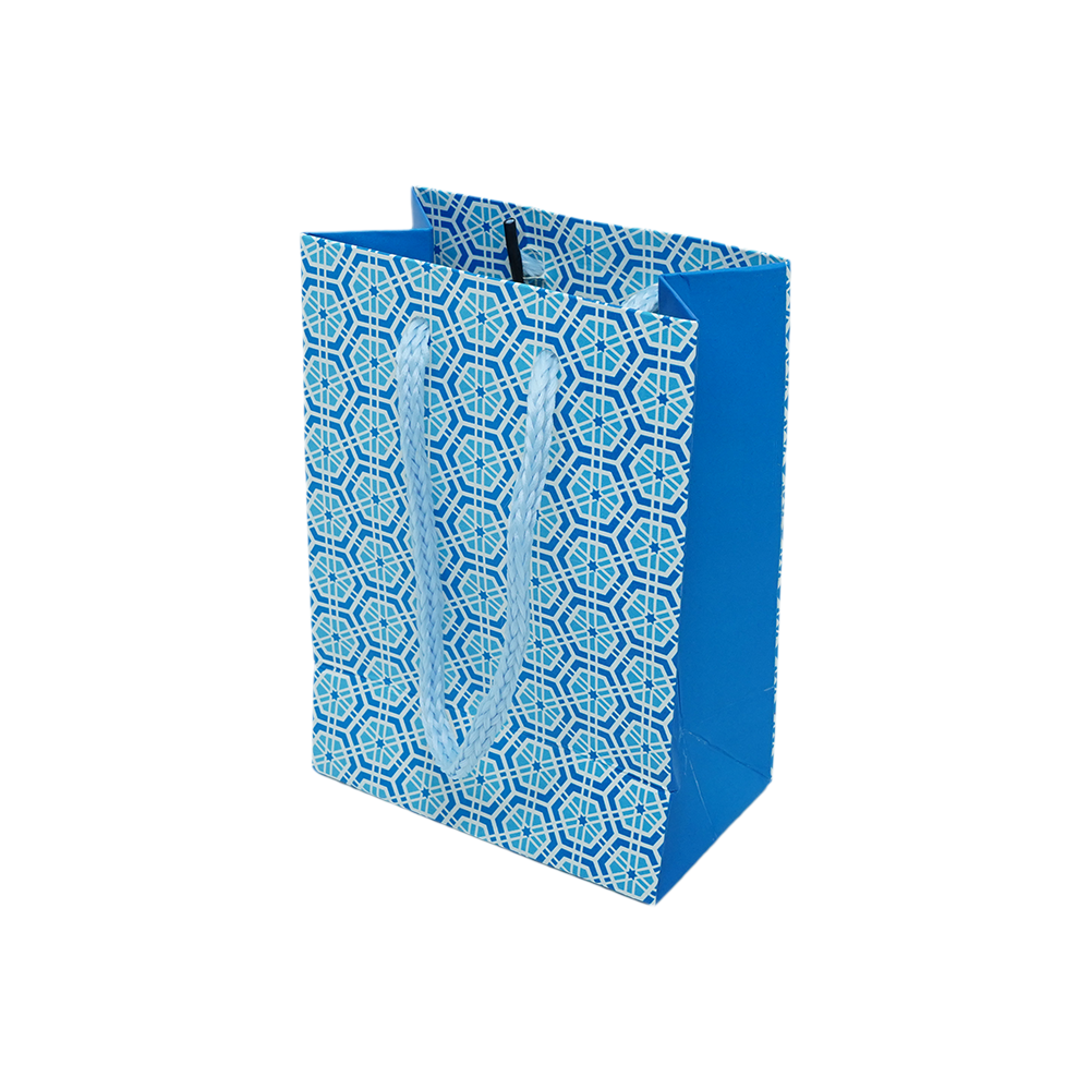 Customized Cardboard Shopping Bag (Design 9)