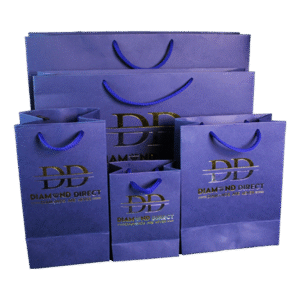 Customized Cardboard Shopping Bag (Design 10)